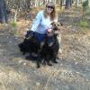 Black and Brown Dogs